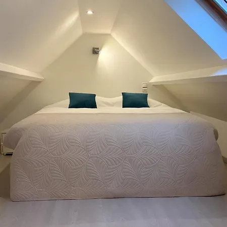 Appartement Le Cocon Bleu, Duplex Cosy Et Lumineux